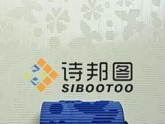 探索泉州肌理壁膜藝術 從材料到施工的全面解析與詩邦圖品牌服務